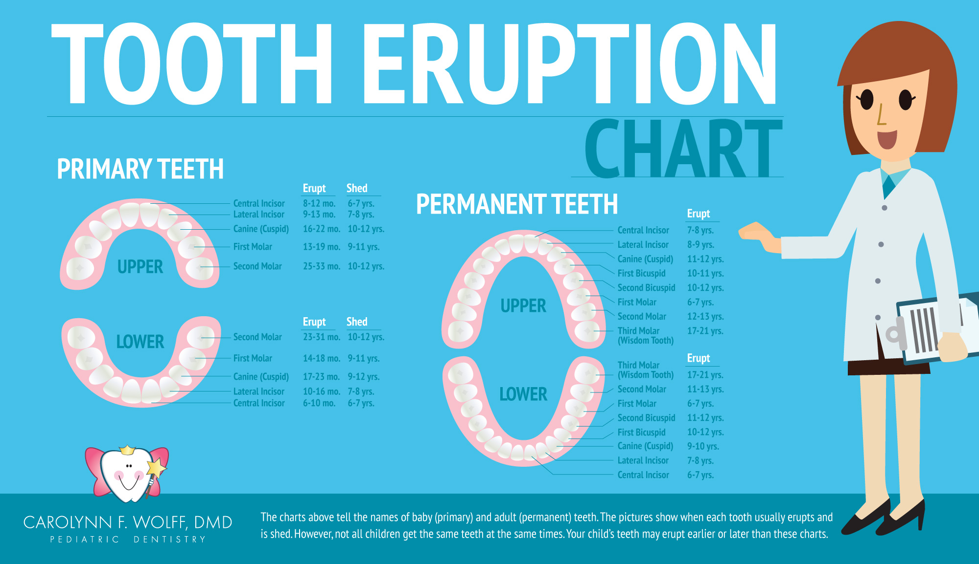 out order teeth eruption